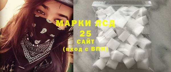 твердый Надым