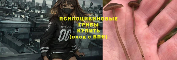 тгк Наволоки