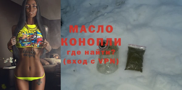 твердый Надым