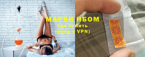 твердый Надым