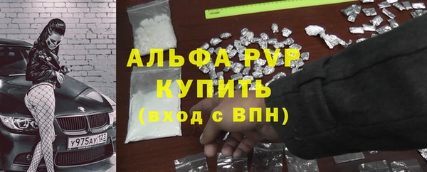 твердый Надым