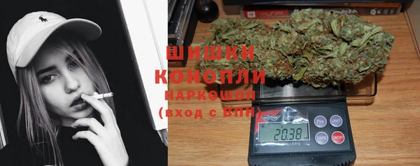 твердый Надым