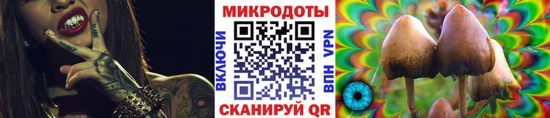 Купить где  Калтан  Галлюциногенные грибы Cubensis 